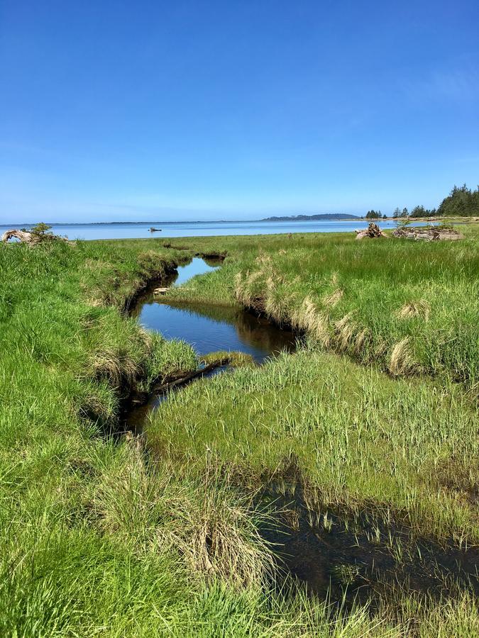 Tillamook Bay City Rv Park Exterior foto